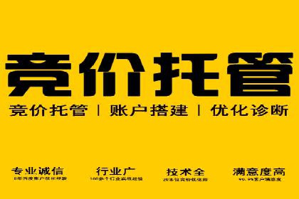 百度优化推广案例：案例分析及优化效果